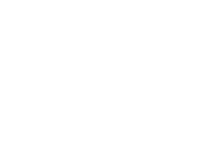 thunderbird